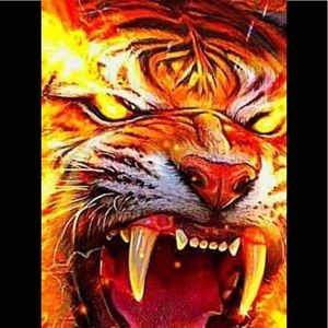 Meet your Posher, Craig